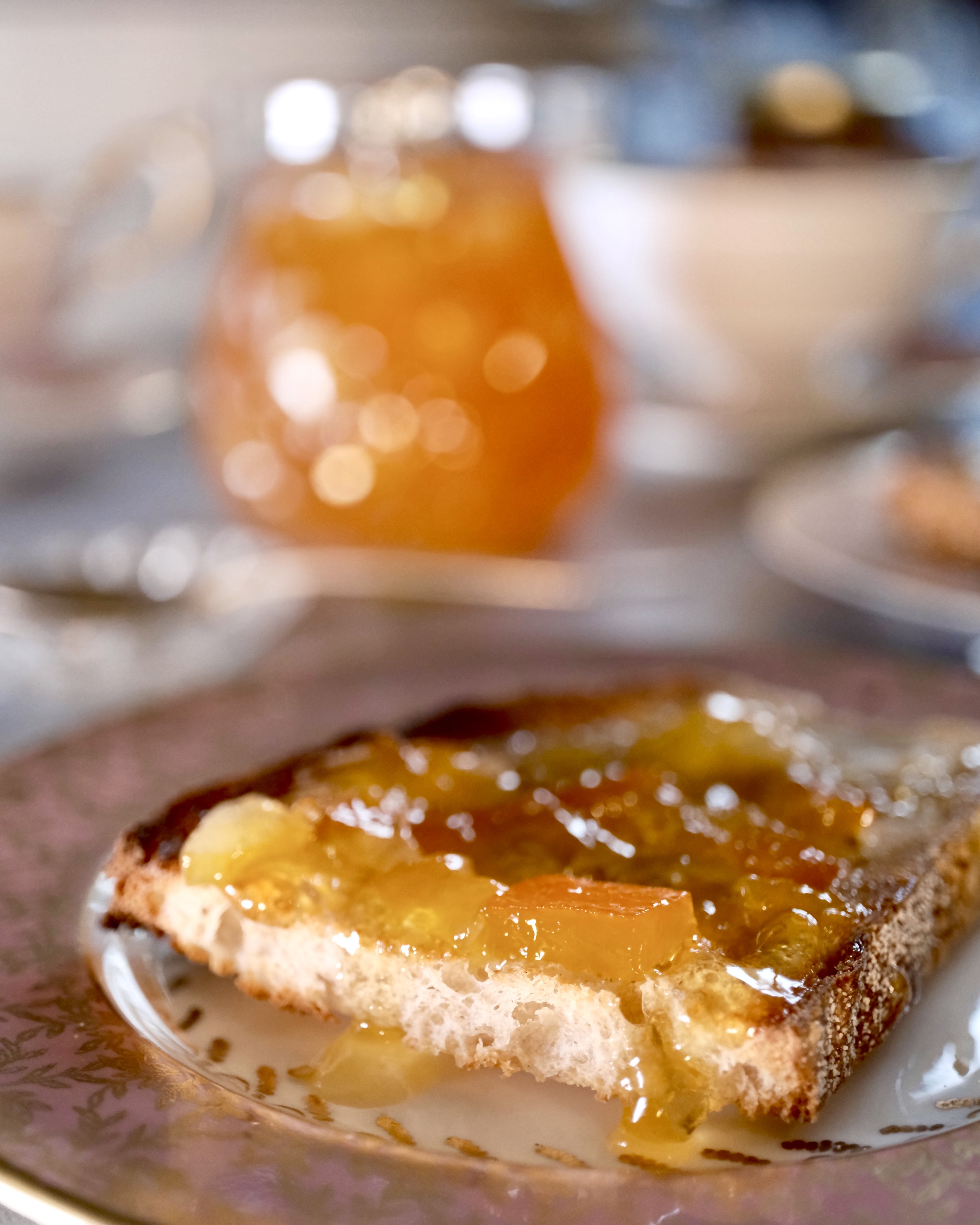 Grapefruit Lemon Marmalade